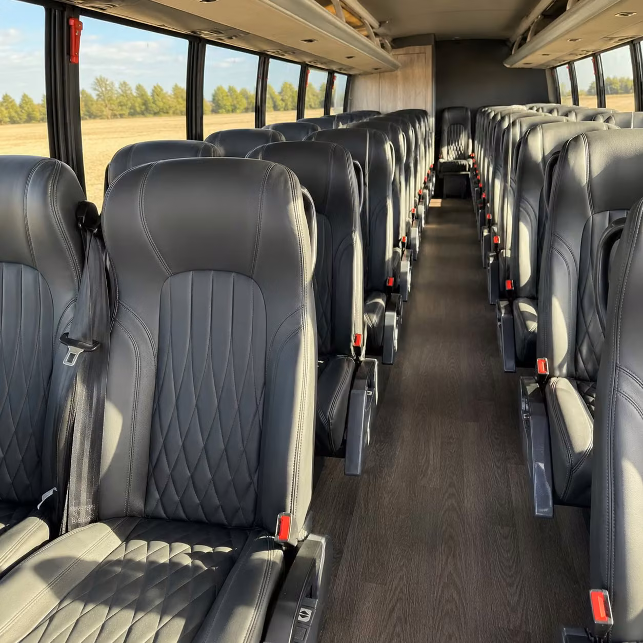 minibus rentals for smaller murrieta prom groups